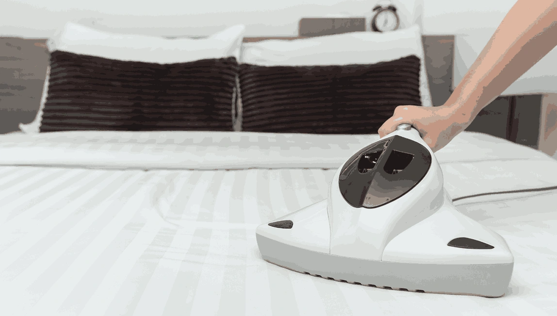 Professional Mattress Cleaning Hughesdale